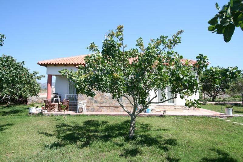 Hotel de apartamente Eleana *