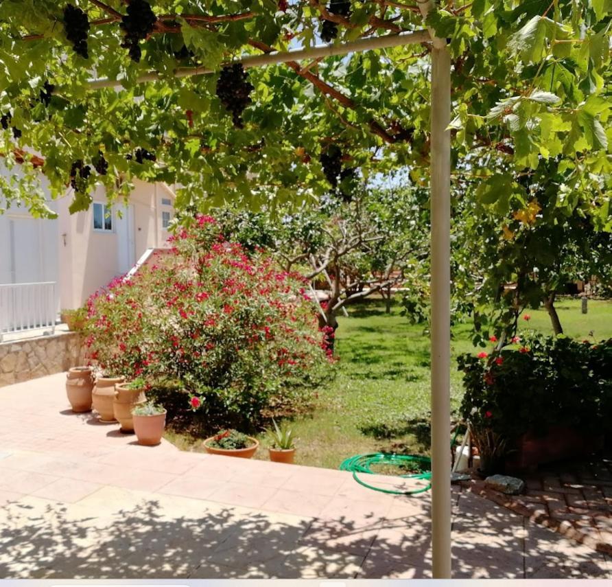 Hotel de apartamente Eleana
